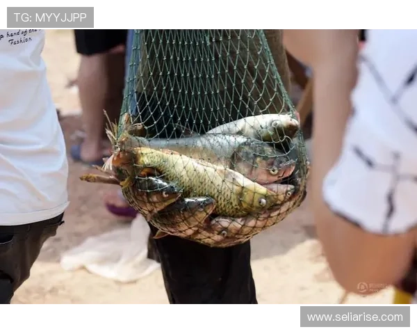 下载ag捕鱼图官方地址的官方渠道及安全验证方法