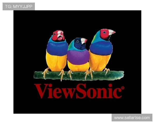 畅享高清PA体育视讯体验全面升级视觉享受提升比赛观赏体验