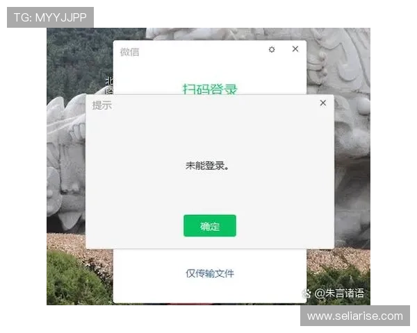 AG贵宾厅全站登录指南，助您轻松应对登录过程中遇到的各种问题