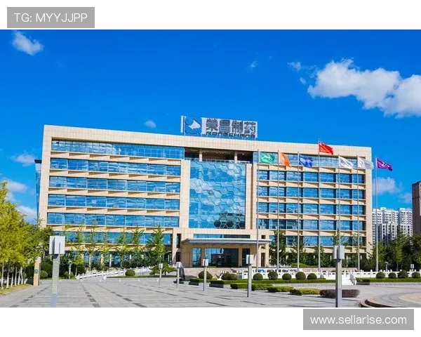 凯发体育集团网址最新官方入口,全面介绍凯发体育集团官方网站导航指南 凯发体育集团网址最新官方入口,全面介绍凯发体育集团官方网站导航指南